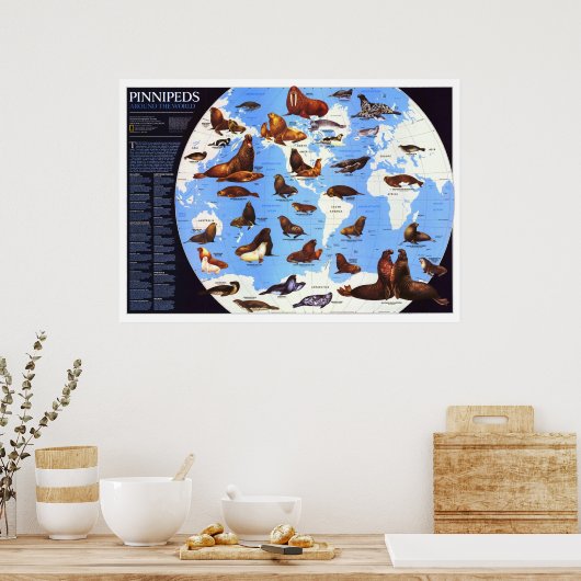 " De wereld: 1987, gespeend rond de wereld ... Poster (Keuken)