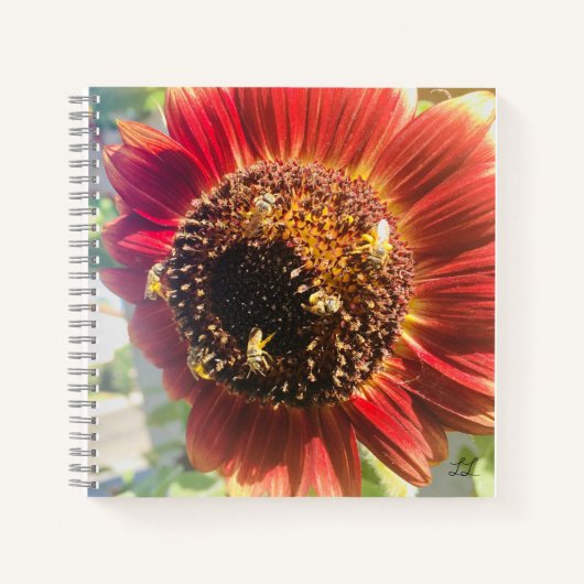 De wereld beter plaatsen maken notitieboek (Voorkant)