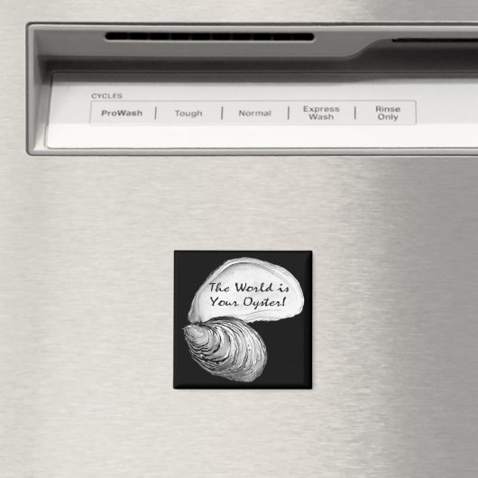 De wereld is jouw oester magneet (Insitu (Vaatwasser))