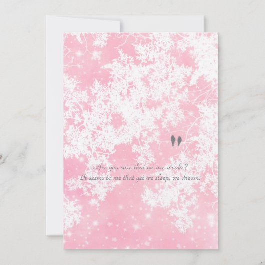 De wereld is ons kaart (Achterkant)