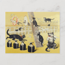De wereld van de kat briefkaart