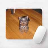 DE WERELD VAN KIARA MUISMAT (Met muis)