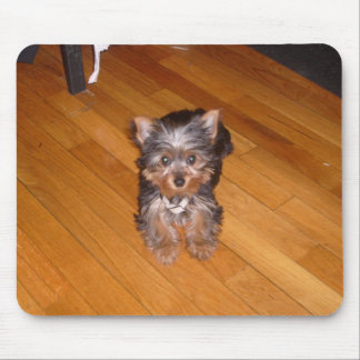 DE WERELD VAN KIARA MUISMAT