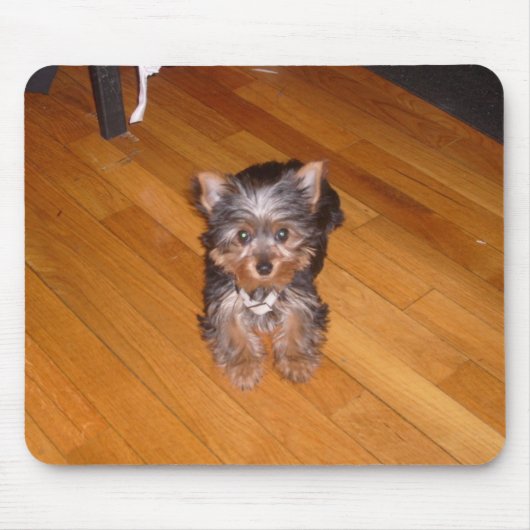 DE WERELD VAN KIARA MUISMAT (Voorkant)