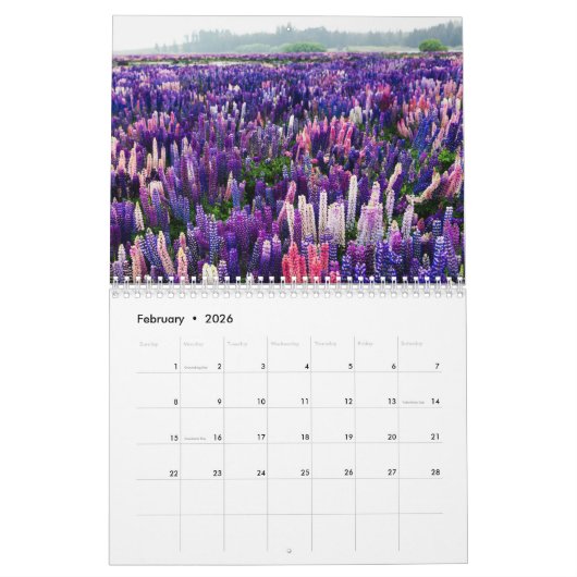 De wereld van Lupines Kalender (Feb 2026)