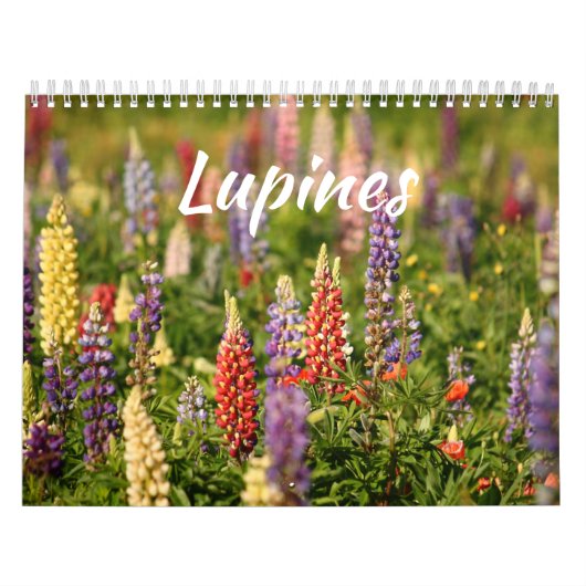 De wereld van Lupines Kalender (Hoes)