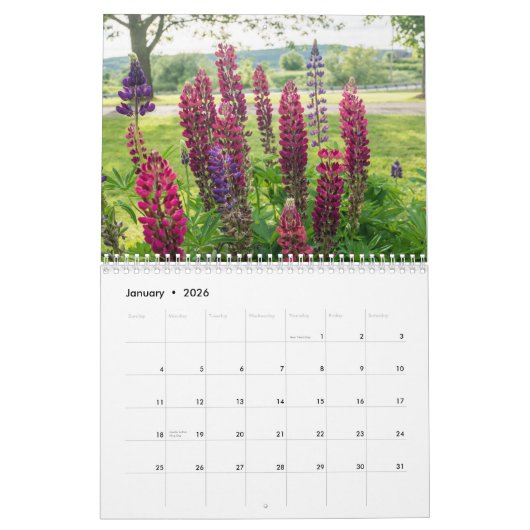 De wereld van Lupines Kalender (Jan 2026)