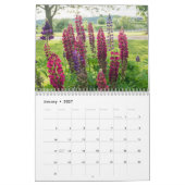 De wereld van Lupines Kalender (Jan 2027)