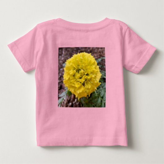 De wereld veranderen (Achterkant)