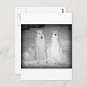 De wereldberoemde Mychtar en zijn Snowdog. :) Briefkaart (Voorkant / Achterkant)