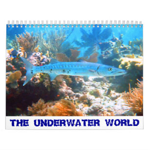 DE WERELDkalender ONDERWATER Kalender