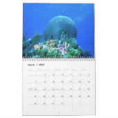 DE WERELDkalender ONDERWATER Kalender (Mar 2027)