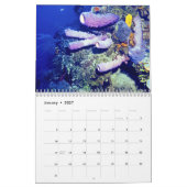 DE WERELDkalender ONDERWATER Kalender (Jan 2027)