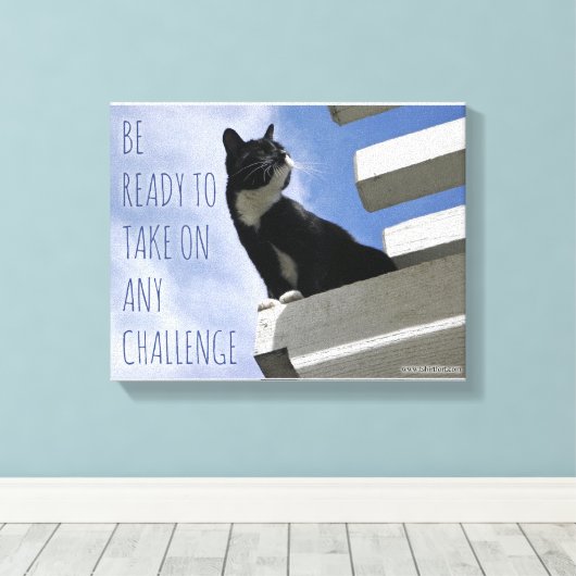 De wereldkattenbeweging overnemen canvas afdruk (Insitu (Houten vloer))