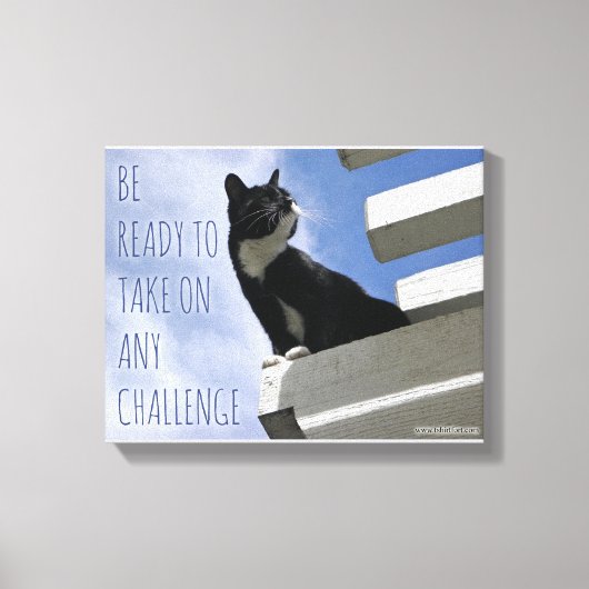 De wereldkattenbeweging overnemen canvas afdruk (Voorkant)