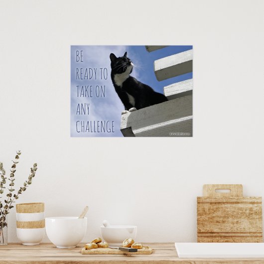 De wereldkattenbeweging overnemen poster (Keuken)