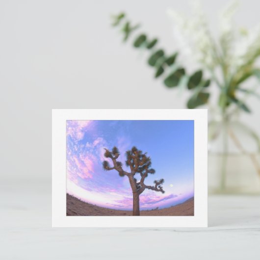 "De Werveling van de Boom Joshua " Briefkaart (Staand voorkant)