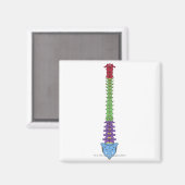 De wervelkolom 2 magneet (Voorkant / Achterkant)