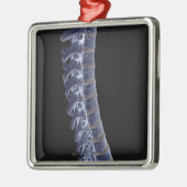 De wervelkolom 3 metalen ornament (Links)