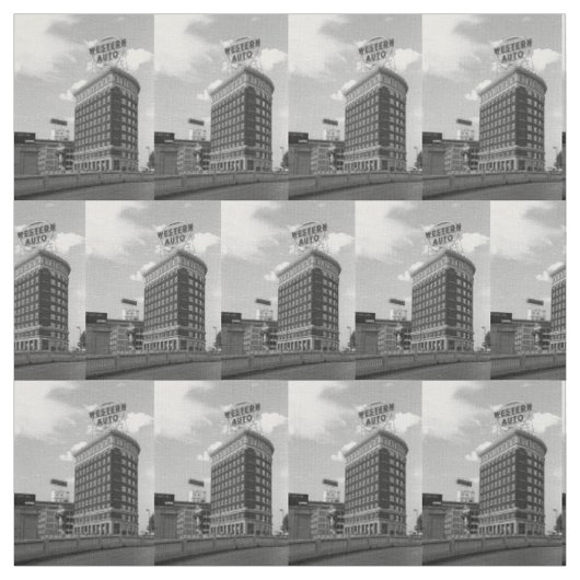 De westerne AutoStof van de Foto van de Bouw Stof (Swatch)