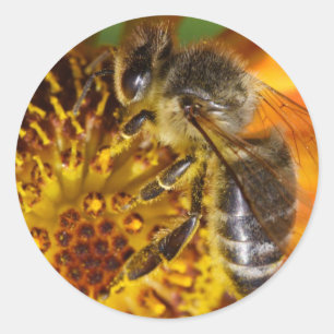 De westerne Bij van de Honing Ronde Sticker