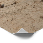 De Westerne muur, Jeruzalem Poster (Hoek)