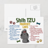 De Wet 4 van het Bezit van de Tzu Briefkaart (Voorkant / Achterkant)