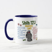 De Wet 4 van het Bezit van de Tzu Mok (Links)