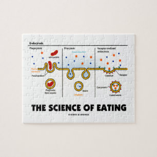 De wetenschap van het Eten (de Humor van de Legpuzzel