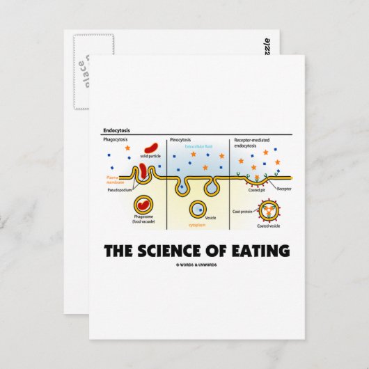 De wetenschap van het eten (Humor van de endemisch Briefkaart (Voorkant / Achterkant)