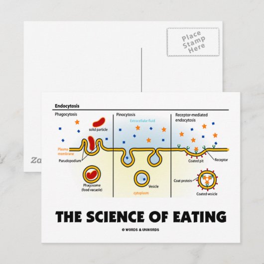 De wetenschap van het eten (Humor van de endemisch Briefkaart (Voorkant / Achterkant)