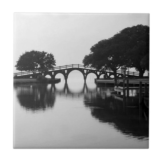 De Whalehead Bridge Tegeltje (Voorkant)