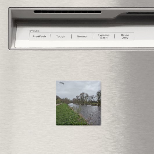 De Wharfe Magneet (Insitu (Vaatwasser))