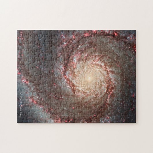 De Whirlpool Galaxy Legpuzzel (Horizontaal)