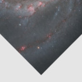 De Whirlpool Galaxy M51 & Companion in de ruimte Tissuepapier (Detail)