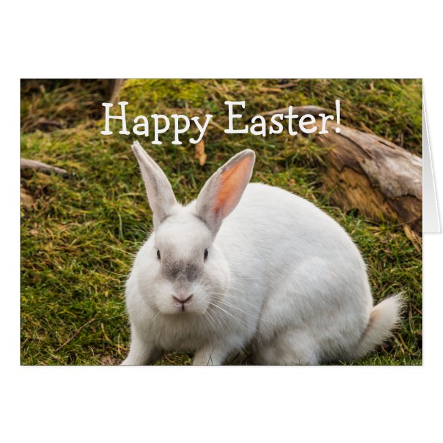 De White Rabbit Easter (Voorkant Horizontaal)