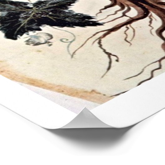 De wijn poster (Hoek)