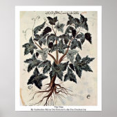 De wijn poster (Voorkant)