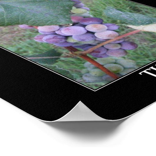 De wijn poster (Hoek)