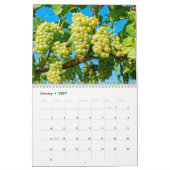 De Wijn Wall Calender - Veni, Vidi, Vino. Kalender (Jan 2027)