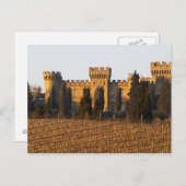 De wijngaard met sirah-wijnstokken en het kasteel briefkaart (Voorkant / Achterkant)