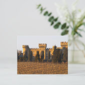 De wijngaard met sirah-wijnstokken en het kasteel briefkaart (Staand voorkant)