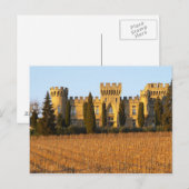 De wijngaard met sirah-wijnstokken en het kasteel briefkaart (Voorkant / Achterkant)