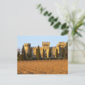 De wijngaard met sirah-wijnstokken en het kasteel briefkaart (Staand voorkant)