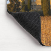 De wijngaard met sirah-wijnstokken en het kasteel muismat (Hoek)