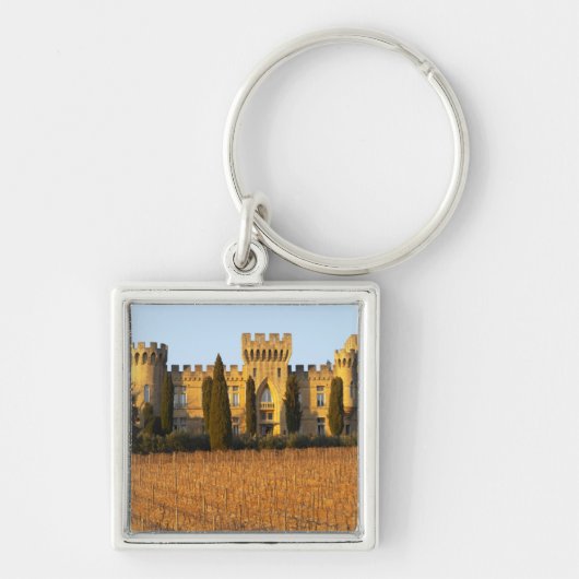 De wijngaard met sirah-wijnstokken en het kasteel sleutelhanger (Voorkant)