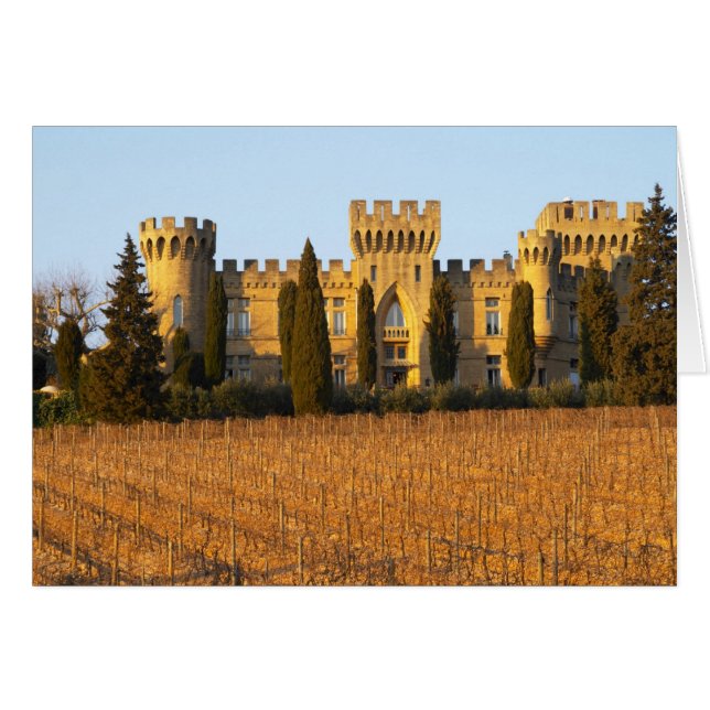 De wijngaard met syrah-druiven en het kasteel (Voorkant Horizontaal)