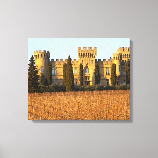 De wijngaard met syrah-druiven en het kasteel canvas afdruk (Voorkant)