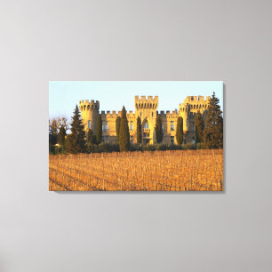 De wijngaard met syrah-druiven en het kasteel canvas afdruk