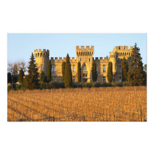 De wijngaard met syrah-druiven en het kasteel foto afdruk